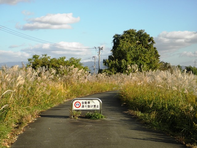 Digital Photo taken in Niigata JAPAN