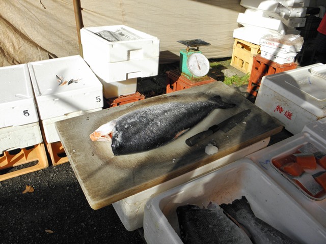 Digital Photo taken in Niigata JAPAN