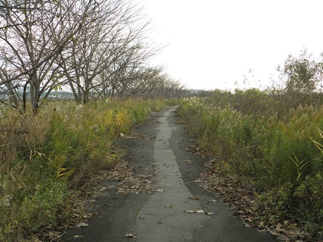 Photo taken in Niigata JAPAN