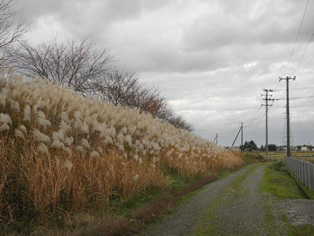 Photo taken in Niigata JAPAN