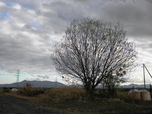 Photo taken in Niigata JAPAN