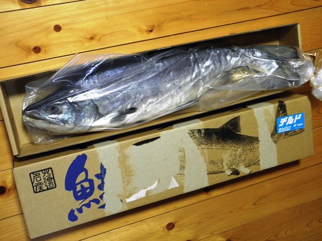 Photo taken in Niigata JAPAN