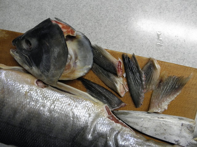 Photo taken in Niigata JAPAN