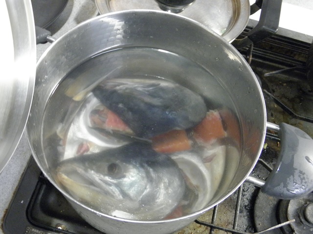 Photo taken in Niigata JAPAN