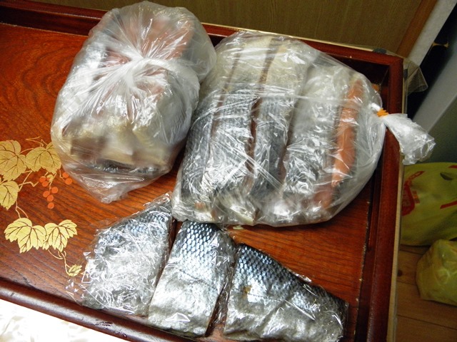 Photo taken in Niigata JAPAN