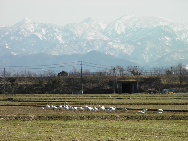 Photo taken in Niigata JAPAN