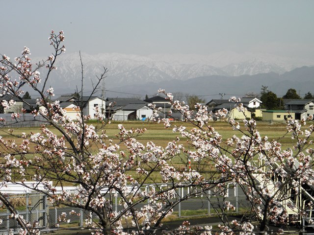 Photo taken in Niigata JAPAN