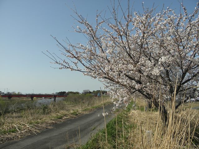 Photo taken in Niigata JAPAN