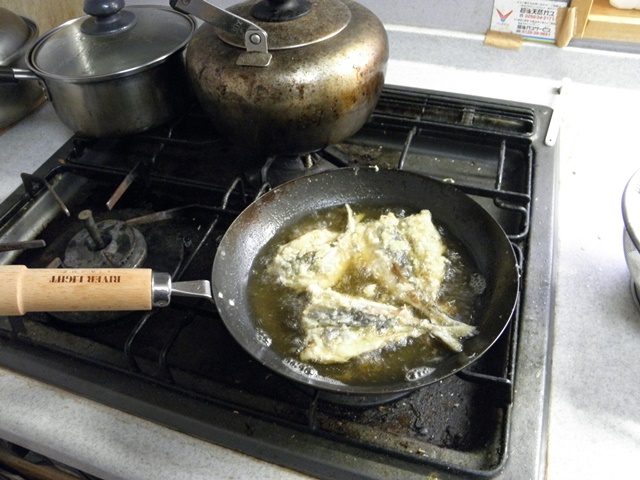 Photo taken in Niigata JAPAN