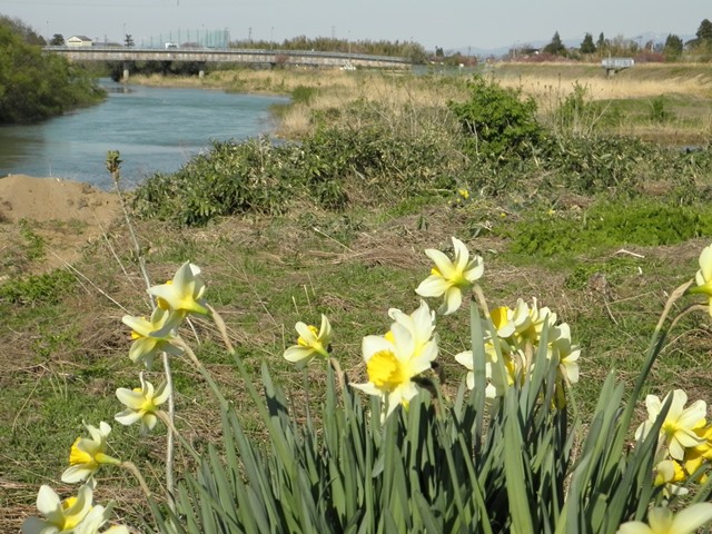 Photo taken in Niigata JAPAN