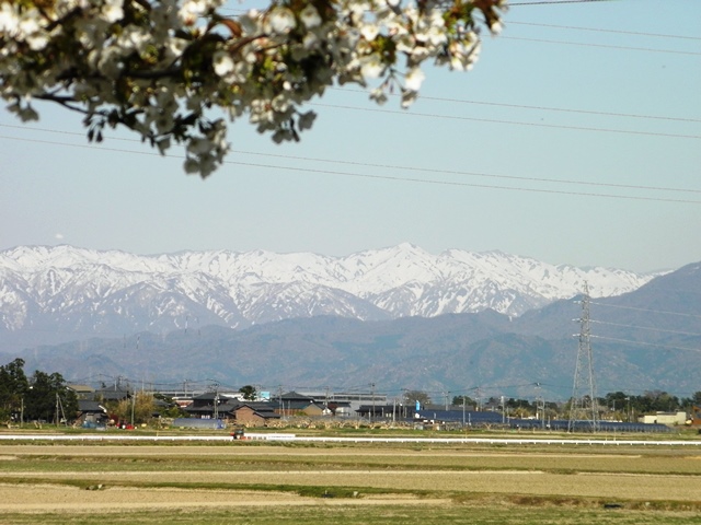 Photo taken in Niigata JAPAN