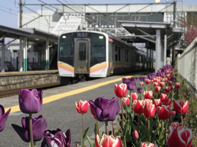 Photo taken in Niigata JAPAN