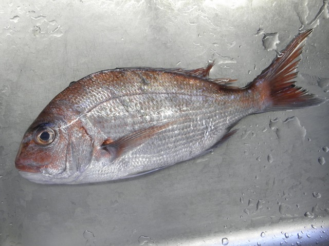 Photo taken in Niigata JAPAN