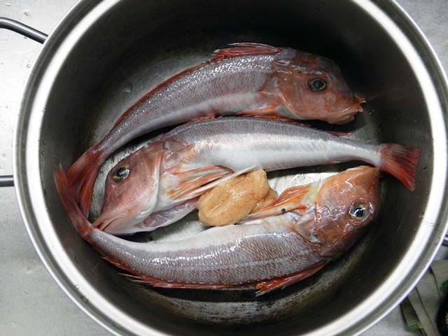 Photo taken in Niigata JAPAN