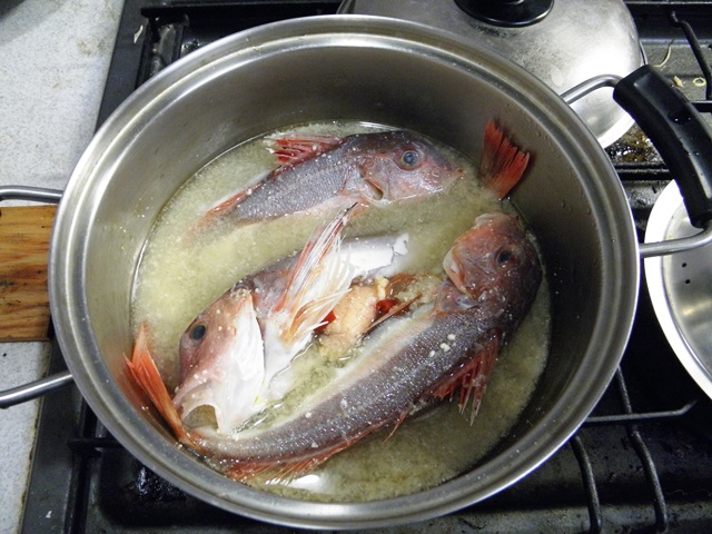 Photo taken in Niigata JAPAN