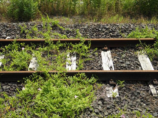 Photo taken in Niigata JAPAN