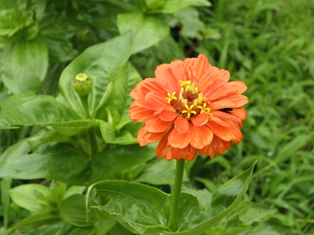 Photo taken in Niigata JAPAN