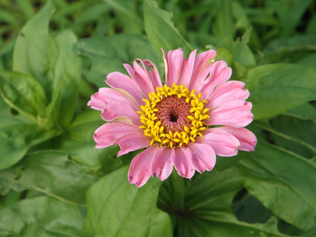 Photo taken in Niigata JAPAN