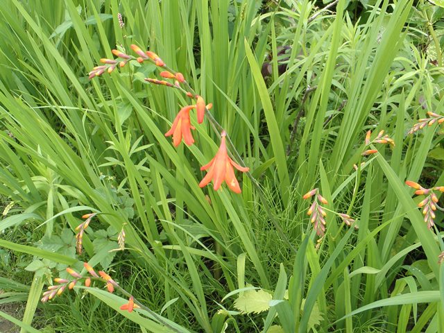 Photo taken in Niigata JAPAN