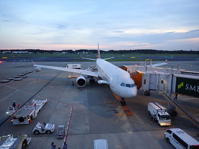 A330 in Narita Airport